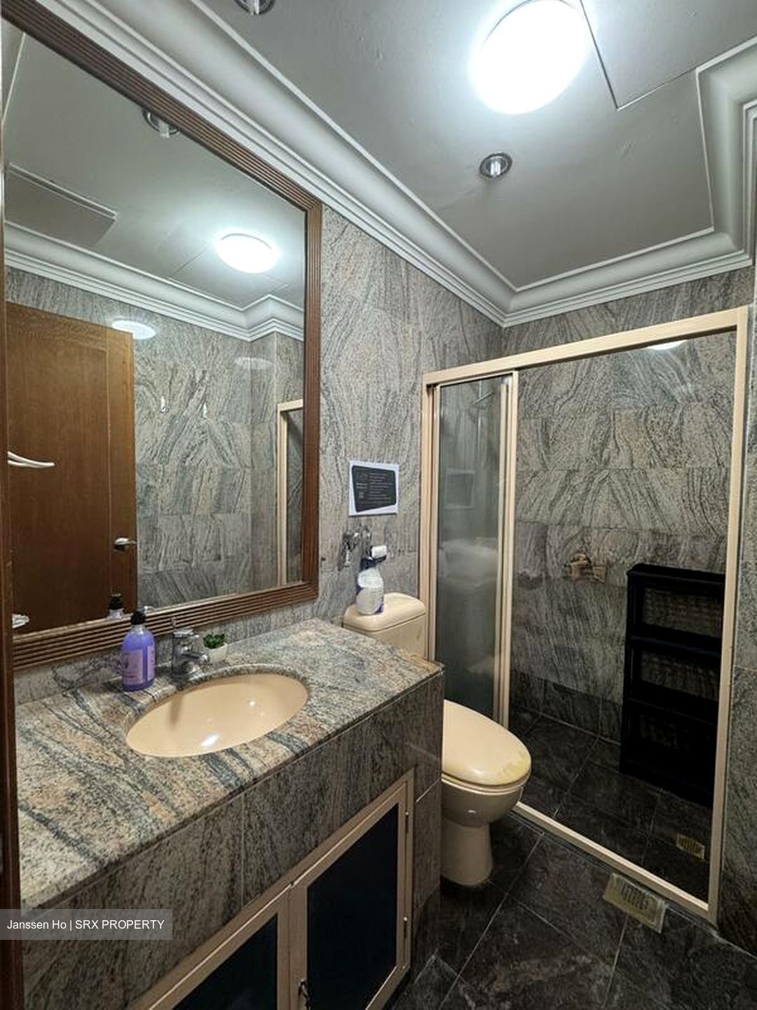 Le Hill Condominium (D5), Condominium #504297061